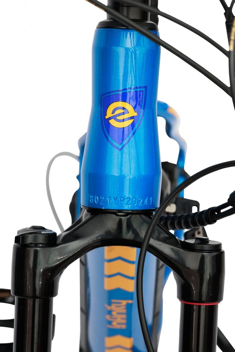evinci infinity mid drive